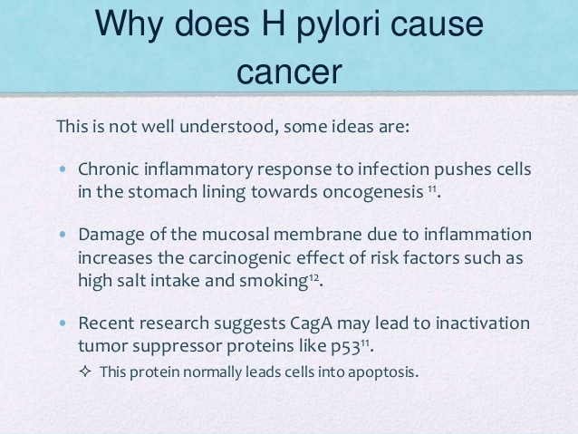 How Helicobacter Pylori can cause gastric ulcerations and ...