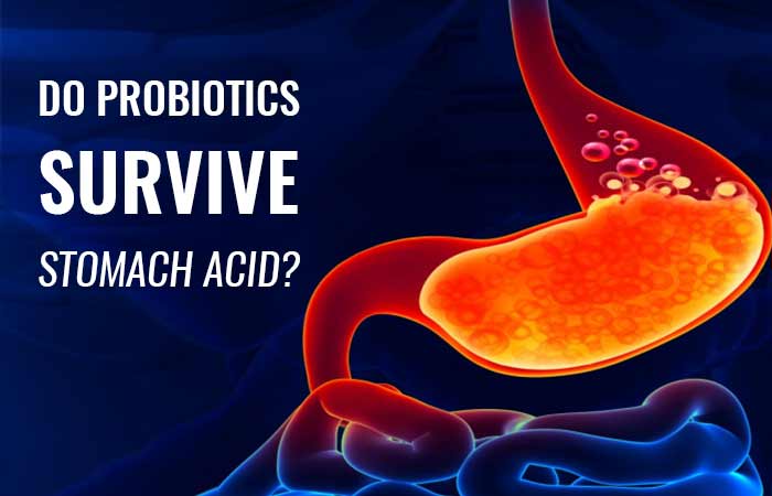 Do Probiotic Supplements Survive Stomach Acid?