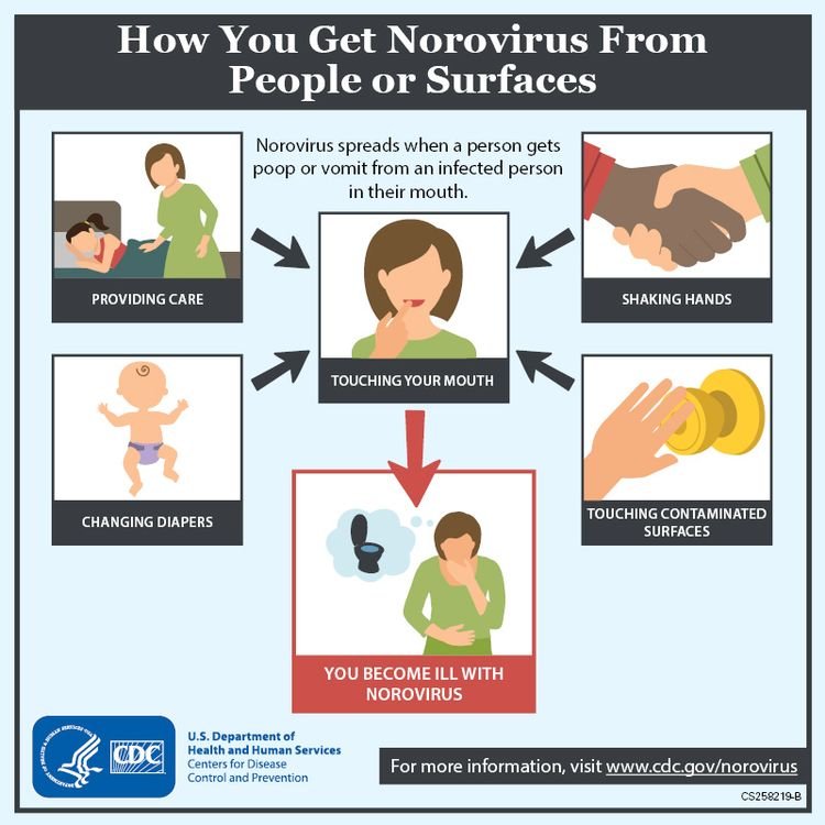 So youâve got norovirus (the stomach flu), now what?