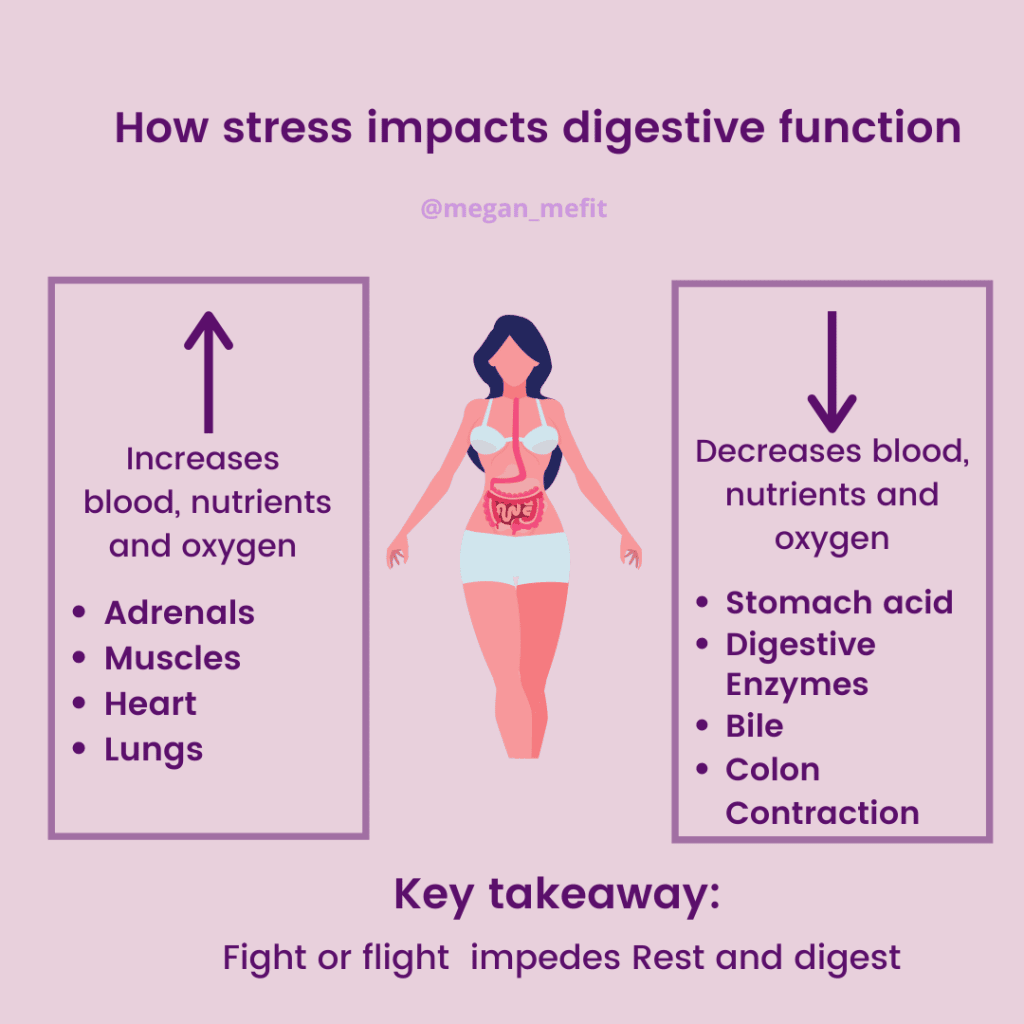 How stress impacts digestive function