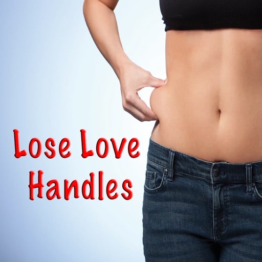 How to Lose Love Handles: Get Rid Belly Fat Fast by Nic Patel