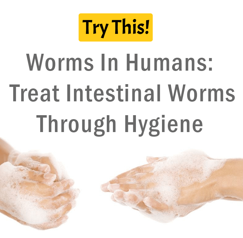 Worms In Humans: Treat Intestinal Worms Through Hygiene