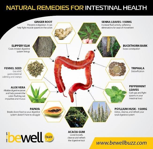 In the Natural Remedies For Intestinal Health I have found the Body Key ...
