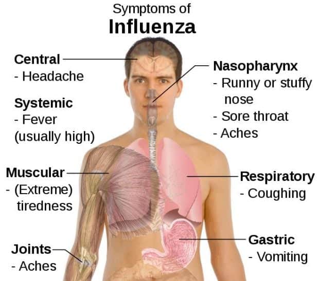 St. Francois County seeing more Influenza Type B
