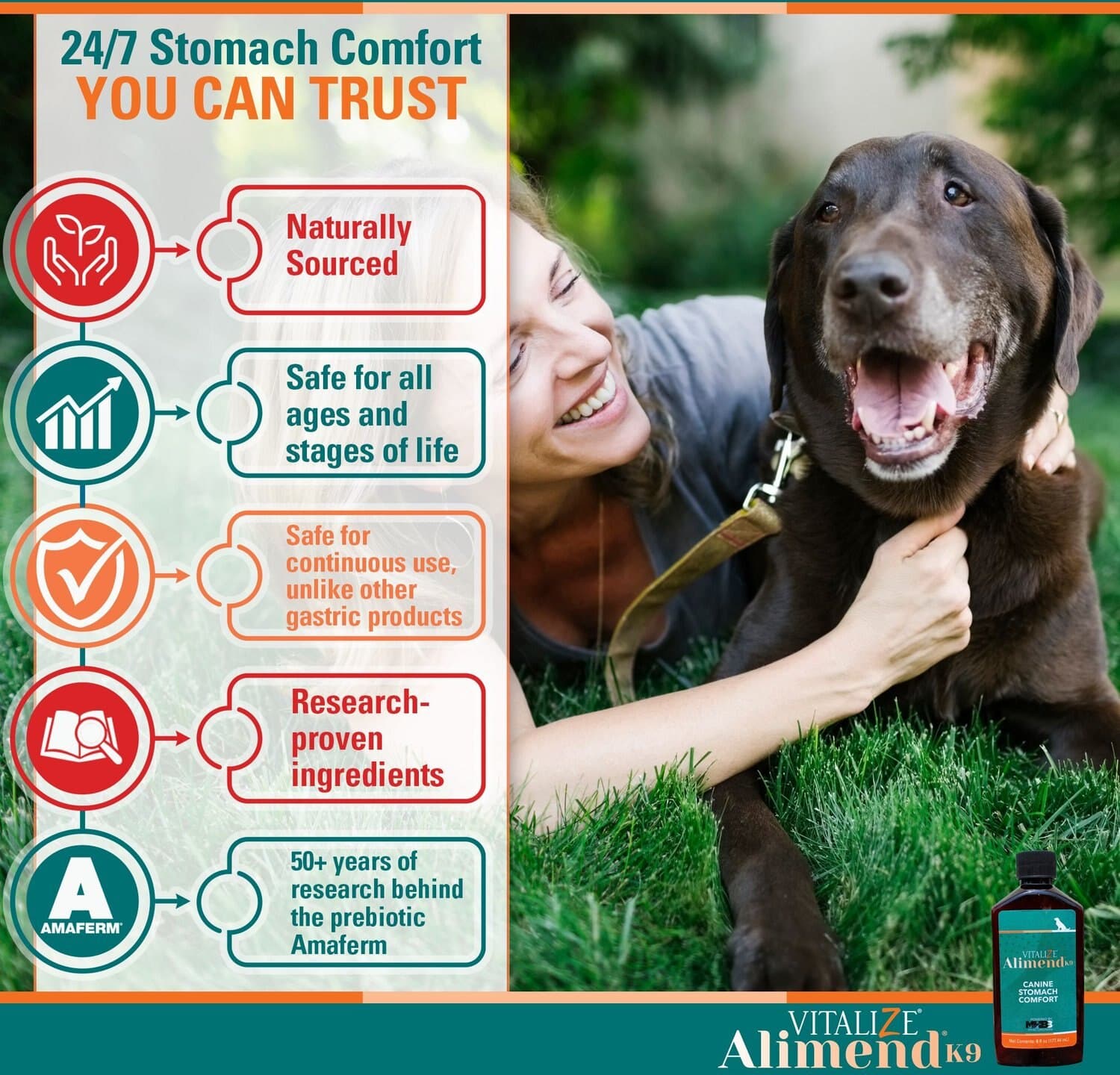 VITALIZE Alimend K9 Canine Stomach Comfort &  Protection Dog Supplement ...